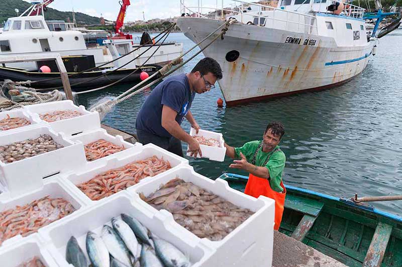 Gaeta Cosa Vistare Bassa Stagione - Pesce fresco